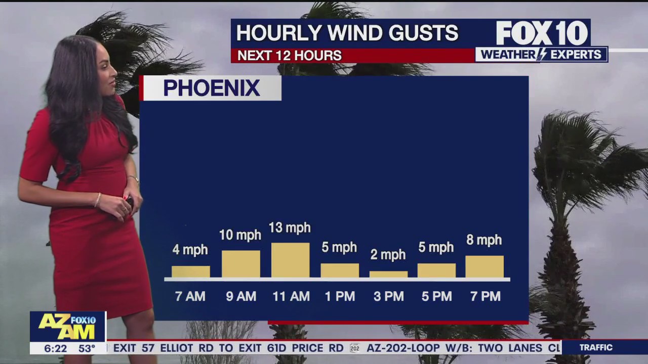 Morning Weather Forecast - 2/16/25