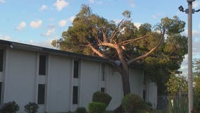 Tempe residents left without gas, A/C 9 days after microburst