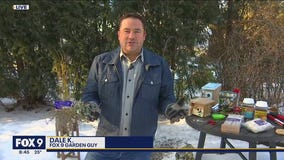 Searching for signs of spring with Garden Guy Dale K