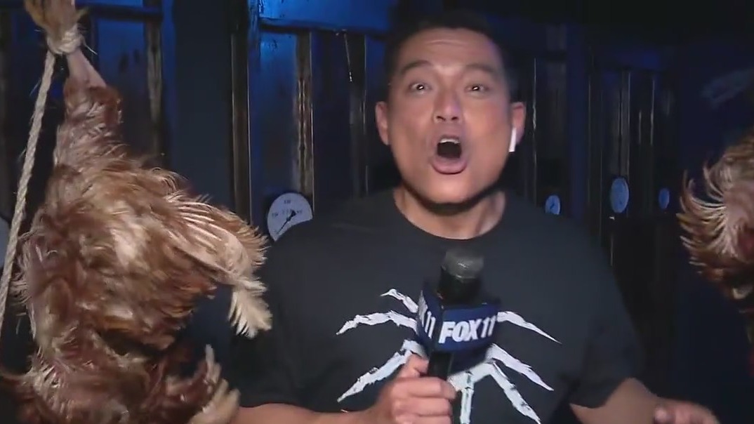 'The 17th Door' gives a haunting experience