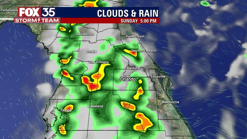 Weather Forecast: July 10