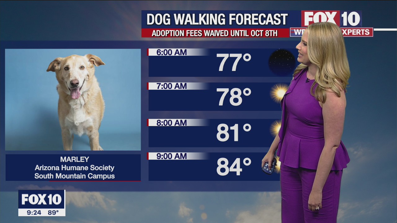 Evening Weather Forecast - 10/2/22