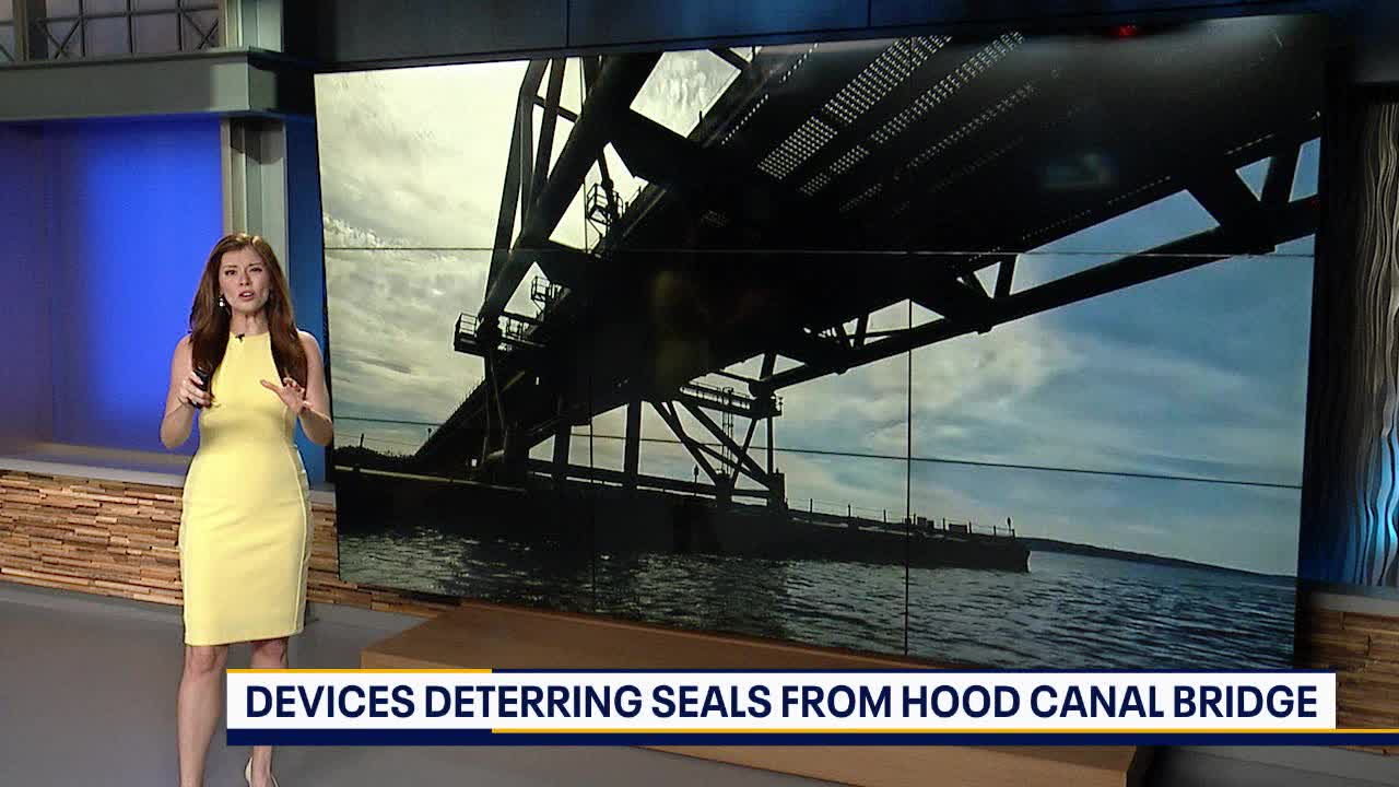 Tech deters seals from Hood Canal Bridge