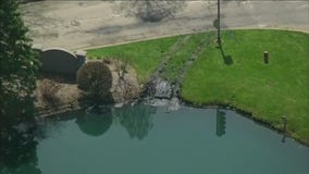 Driver rescued from submerged vehicle in Naperville