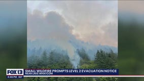 Small wildfire burns near Lake Whatcom
