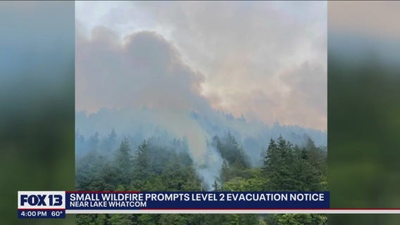 Small wildfire burns near Lake Whatcom