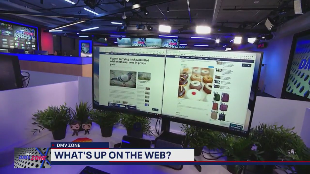 Meth pigeons, DC restaurants and flip phones