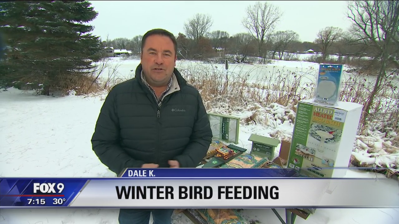 Dale K gives tips on winter bird feeding