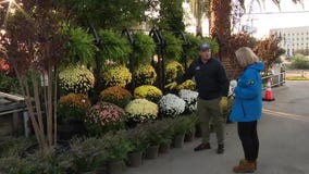 Make your landscaping look great while saving money