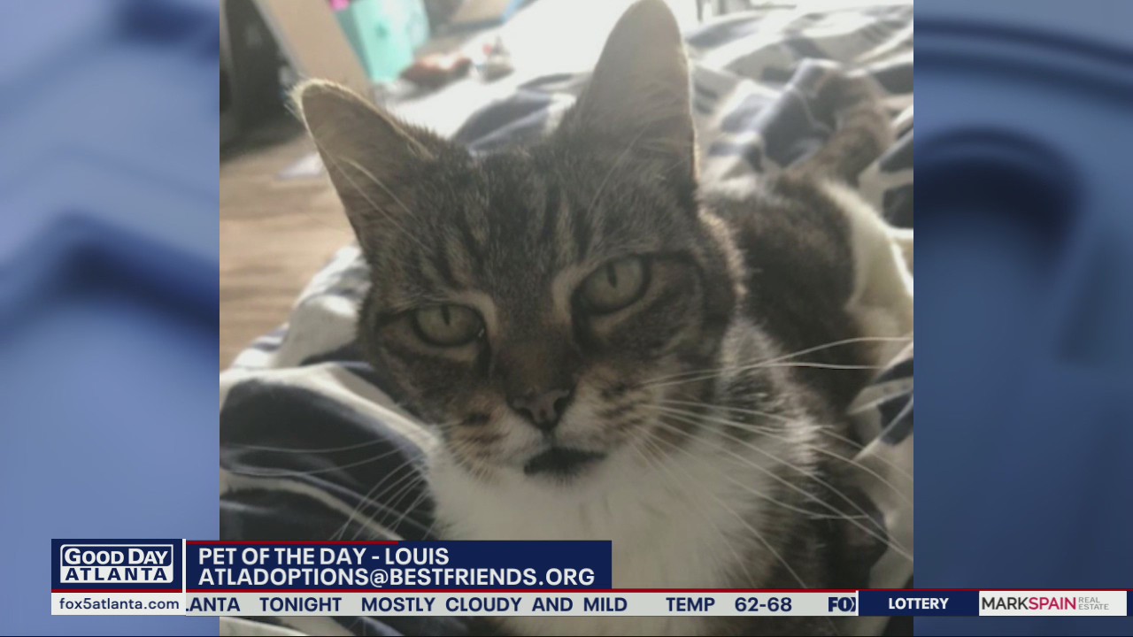 Pet of the day from Best Friends Animal Society