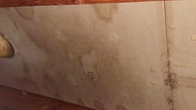 Twin Cities homeowner, HOA butt heads over mold