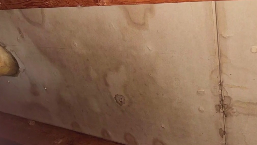 Twin Cities homeowner, HOA butt heads over mold