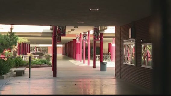 Alleged sexual assault suspect in custody