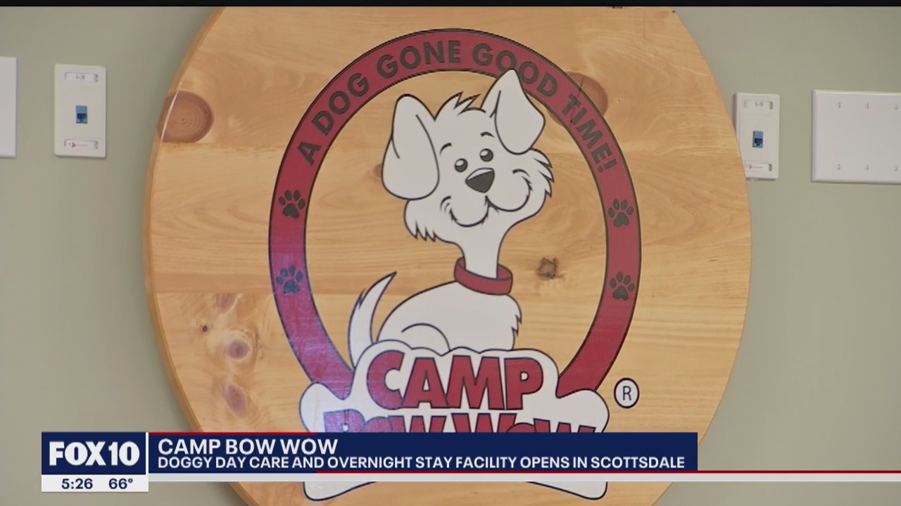 Camp Bow Wow doggy daycare and overnight stay facility opens in Scottsdale