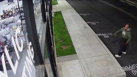 Suspect arrested in SFV vandalism spree