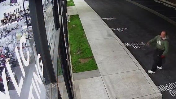 Suspect arrested in SFV vandalism spree