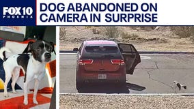 Caught on camera: Dog abandoned by driver in Surprise