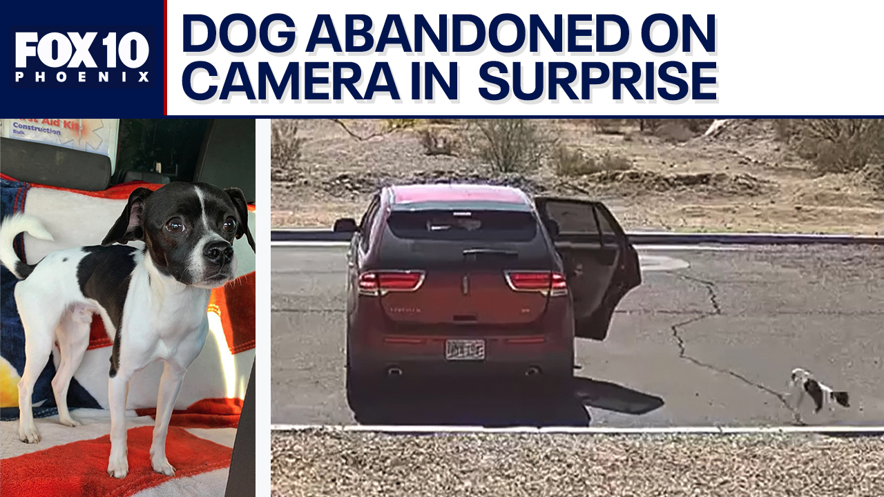 Caught on camera: Dog abandoned by driver in Surprise