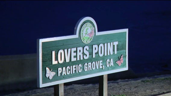 Shark suspected in missing swimmer's disappearance off Lovers Point