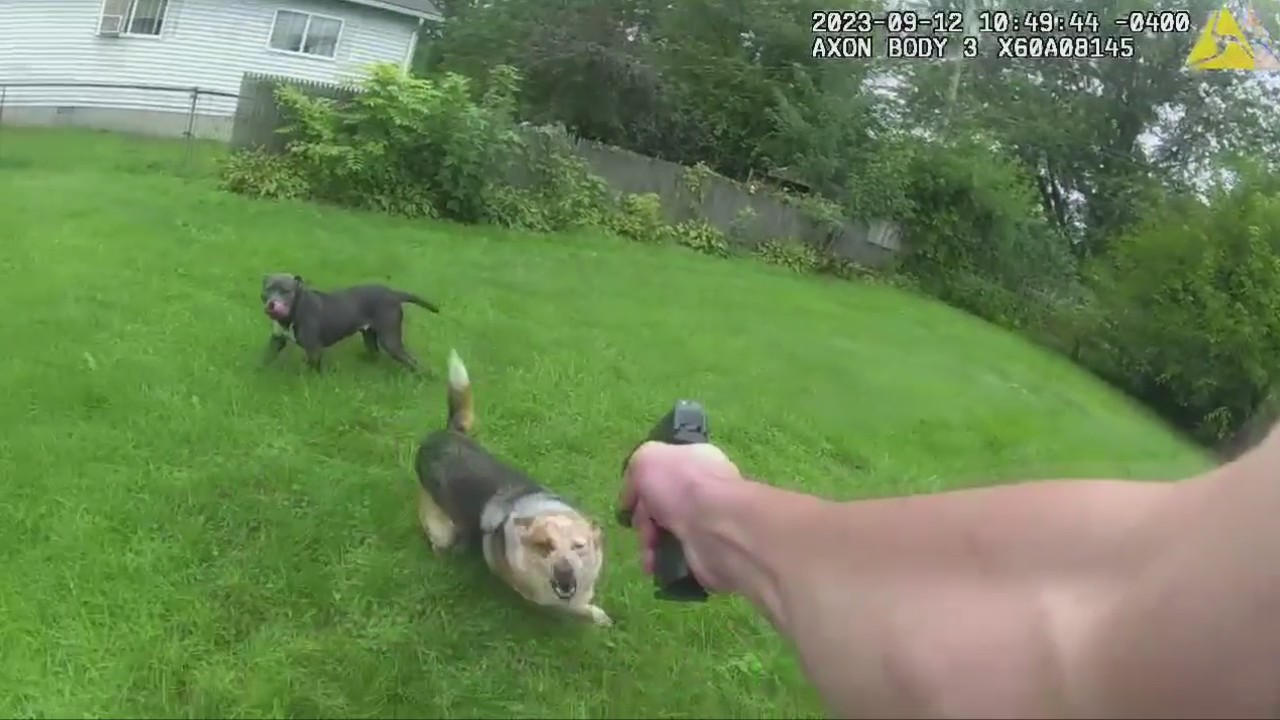 Family dog shot to death by St. Clair County deputy leaving owners heartbroken