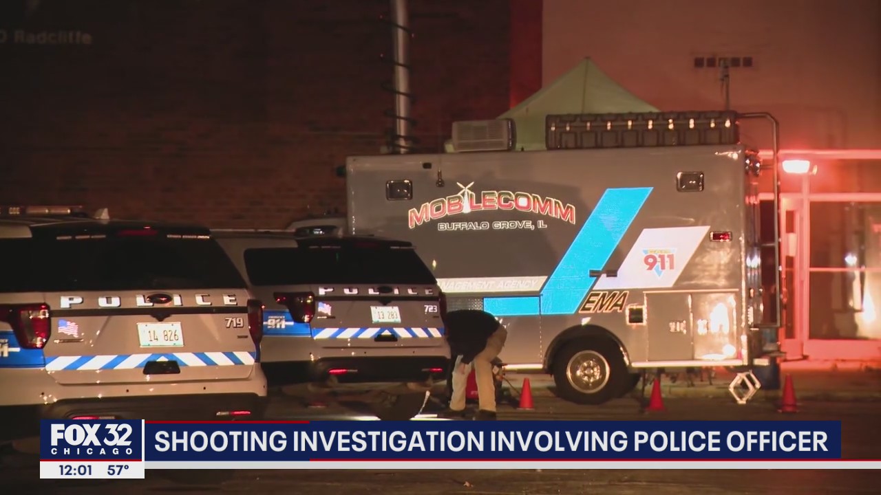 Man shot dead by Buffalo Grove police after he called 911, fired guns into the air