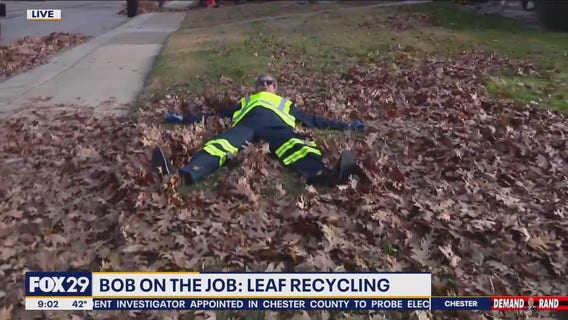 Bob On The Job: Leaf Recycling