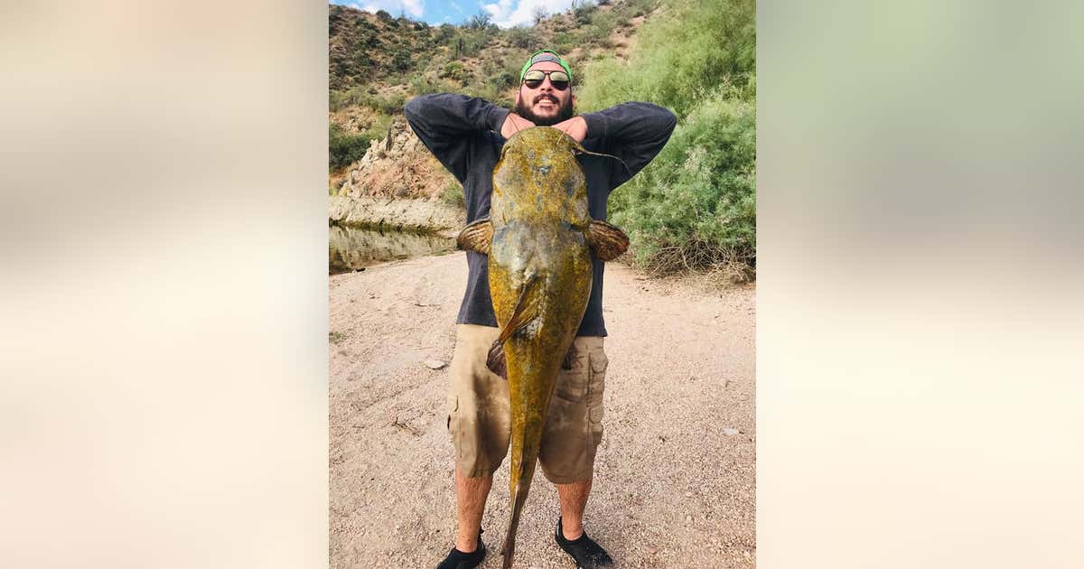 Mesa man catches 49-inch catfish | FOX 10 Phoenix