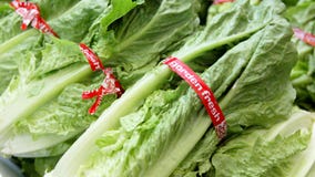 Health officials disclose another romaine outbreak