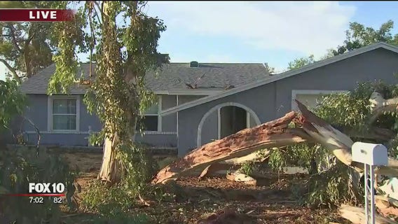 Tree splits apart, crashes down onto 3 cars during monsoon storm