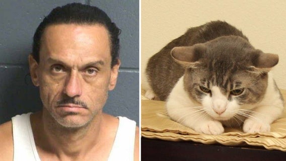New Mexico man accused of battering girlfriend, feeding cat meth