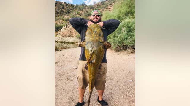 Mesa man catches 49-inch catfish