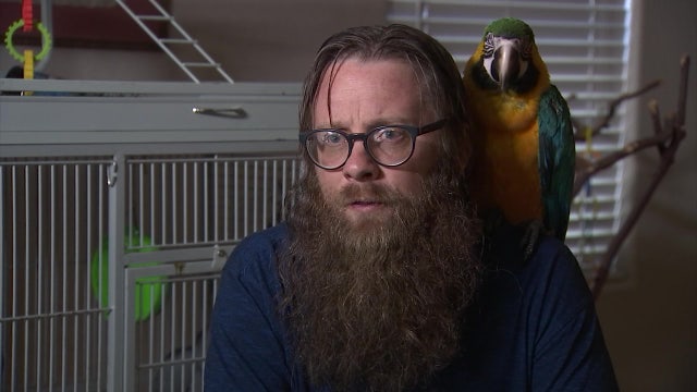 Owner of missing macaw had to be rescued while he was trying to save his bird