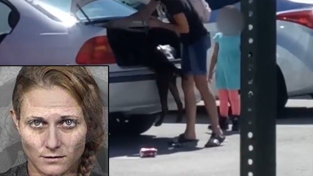 Florida woman accused of putting emaciated dog in trunk of car bonds out of jail