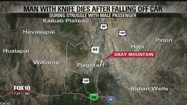 Knife-wielding man who died after fall off moving car in Arizona identified