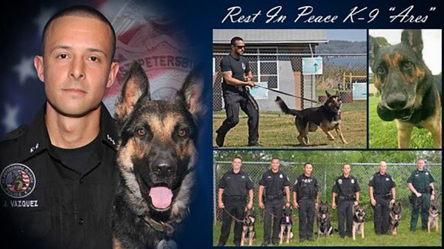 St. Pete police mourn the loss of K9 'Ares'