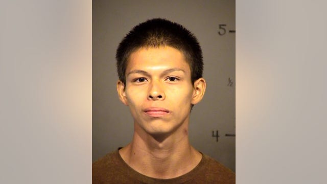 Mesa Police: Man accused of breaking into homes and killing cats