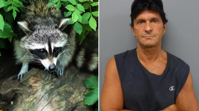 NJ man accused of stabbing, pouring bleach on caged raccoons