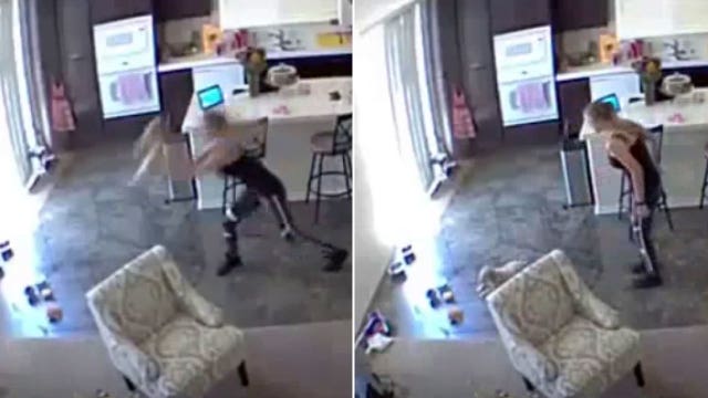 Pet sitter caught on video slamming puppy to the ground