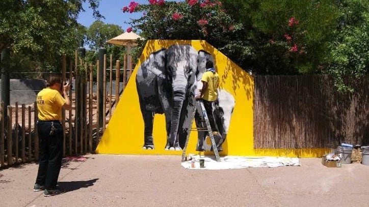 Kentucky Artist Paints Elephant Mural At Phoenix Zoo FOX 10 Phoenix   ANITA ROMAN ELEPHANT 2 