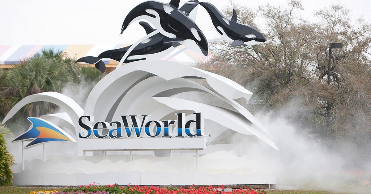 Seaworld Phoenix Rising SeaWorld CEO resigns after less than one year on the job | FOX 10 Phoenix