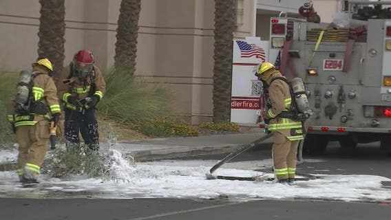 FD: Baby, 4 others hurt following bee attack at Chandler Fashion Center
