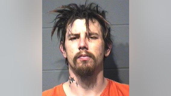 Man accused of killing woman's puppy with hammer gets 9 months in jail