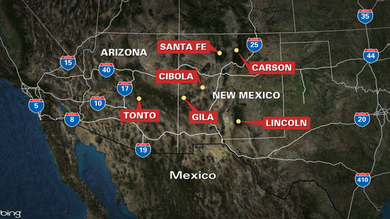 Court halts timber activity in Southwest over threatened owl