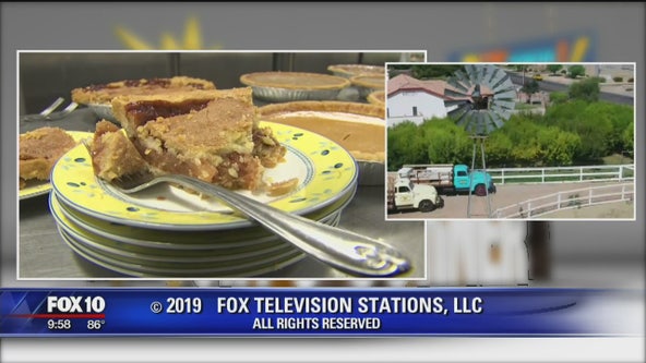 Cory's Corner: Amadio Ranch