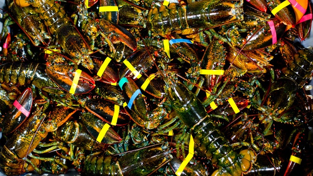 Get more than a pound of lobster for $20 at Red Lobster for 'National Lobster Day'