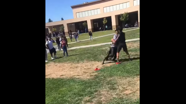California Marine filmed violently tackling two brawling students to the ground