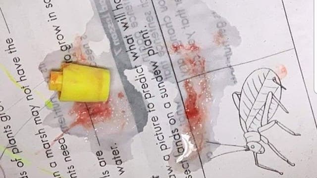 Peoria teacher saves second-grader who was choking on highlighter cap