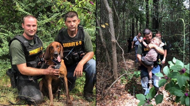 K-9 finds missing 3-year-old Florida boy with autism in less than 30 minutes