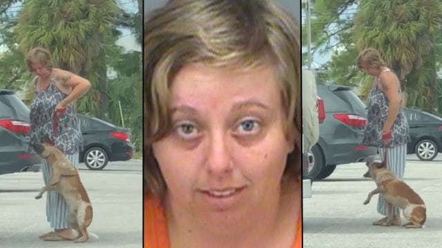 VIDEO: Florida woman arrested for kicking, pulling dog off the ground by leash
