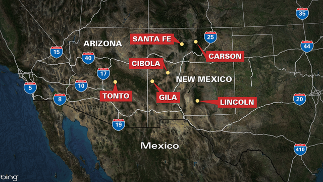 Court halts timber activity in Southwest over threatened owl
